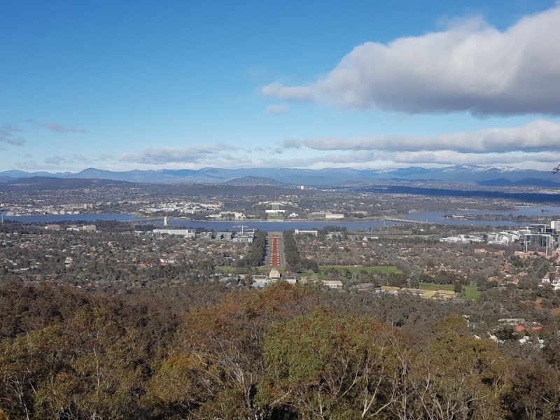 Roundabouts and roos: chilly but charming&nbsp;Canberra