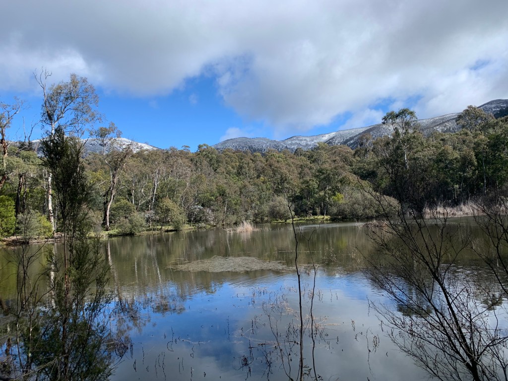 This image has an empty alt attribute; its file name is img_5141.jpg