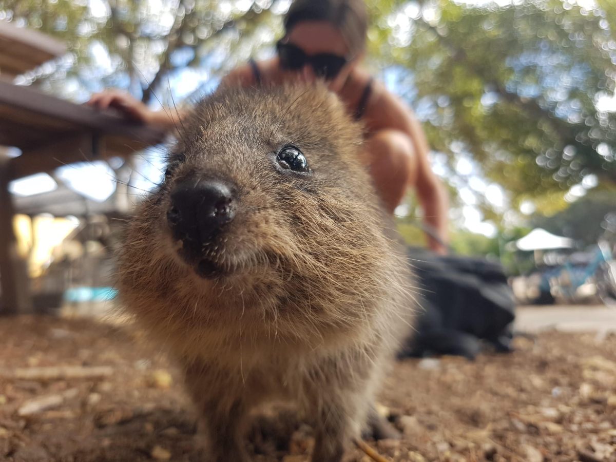 5 days in Perth and its&nbsp;surrounds