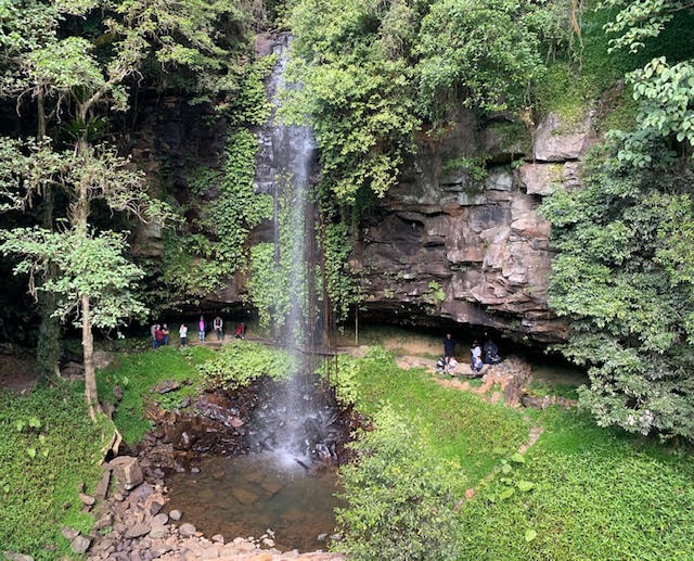 Crystal showers, Dorrigo National Park