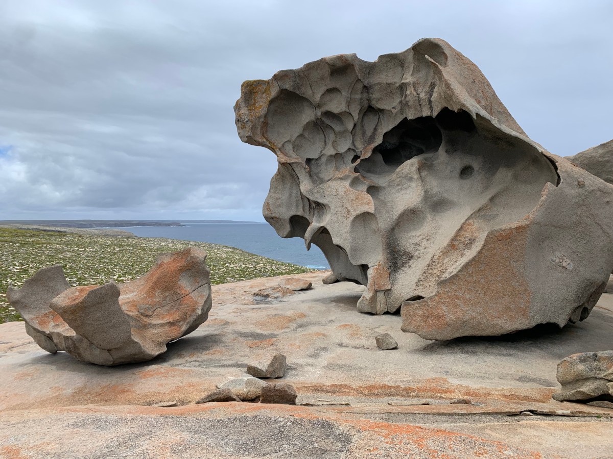 Cavorting around Kangaroo Island&nbsp;(KI)